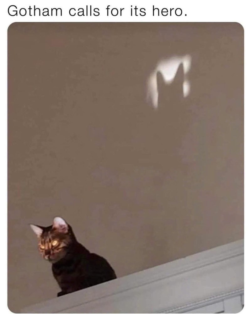 Gotham calls for its hero.