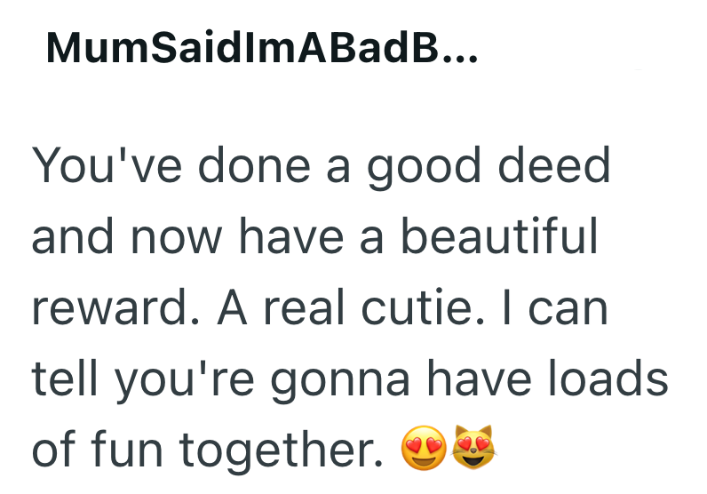 MumSaidlmABadB... You've done a good deed and now have a beautiful reward. A real cutie. I can tell you're gonna have loads of fun together.