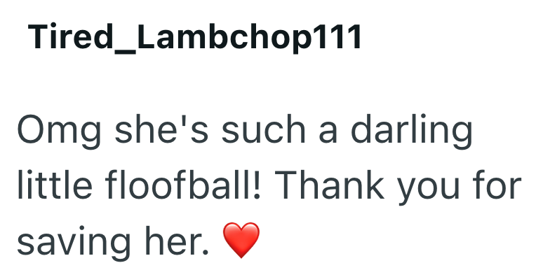 Tired_Lambchop111 Omg she's such a darling little floofball! Thank you for saving her.