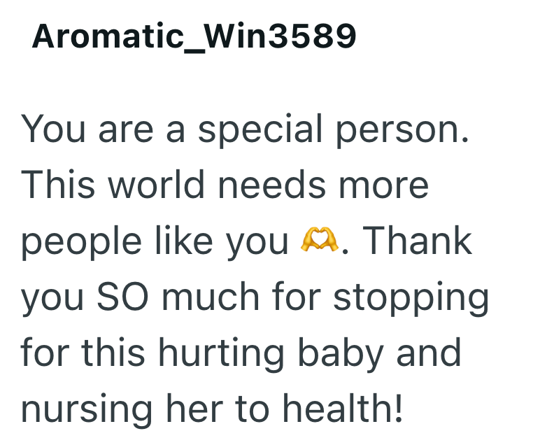 Aromatic_Win3589 You are a special person. This world needs more people like you . Thank you SO much for stopping for this hurting baby and nursing her to health!