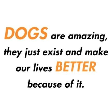 DOGS are amazing, they just exist and make our lives BETTER because of it.