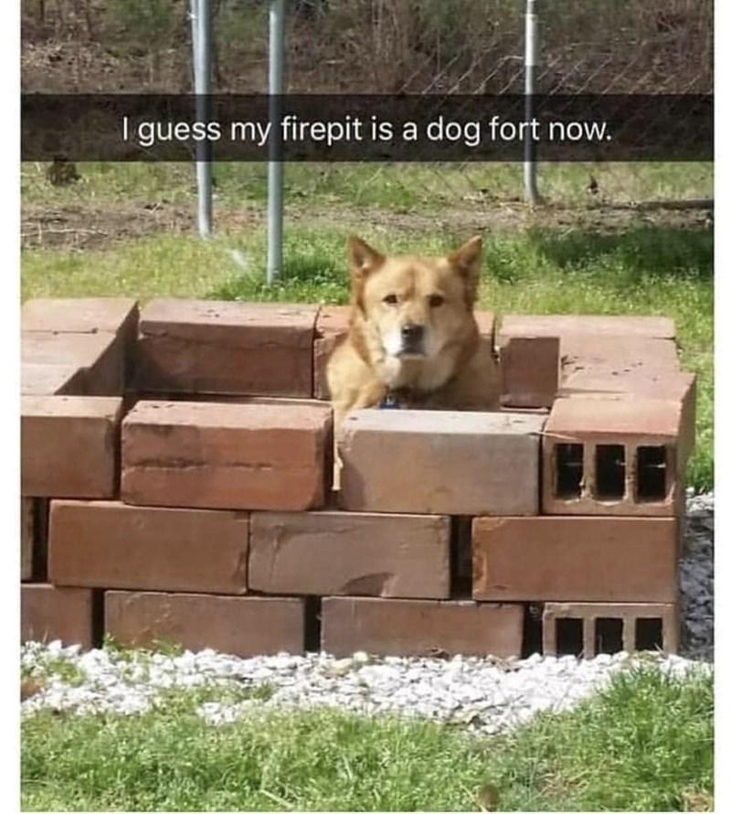 I guess my firepit is a dog fort now.