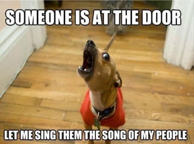 SOMEONE IS AT THE DOOR LET ME SING THEM THE SONG OF MY PEOPLE