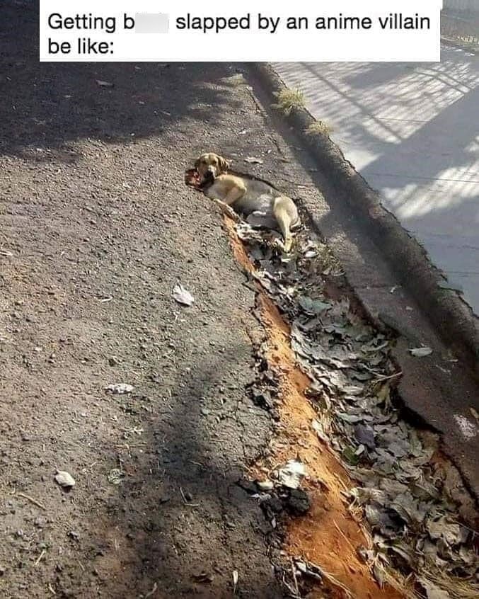 Getting b be like: slapped by an anime villain