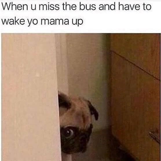 When u miss the bus and have to wake yo mama up