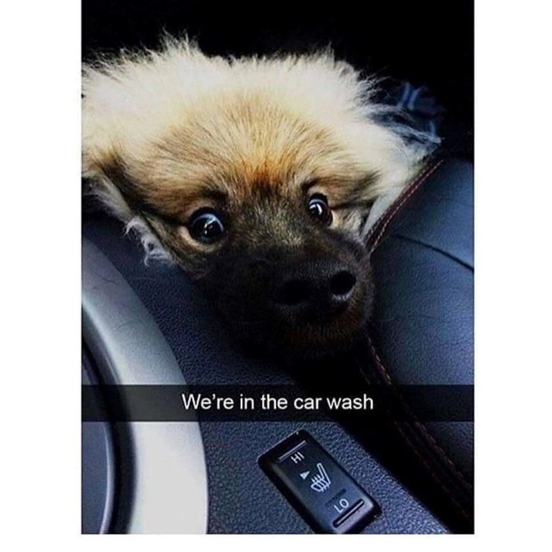 We're in the car wash HI LO