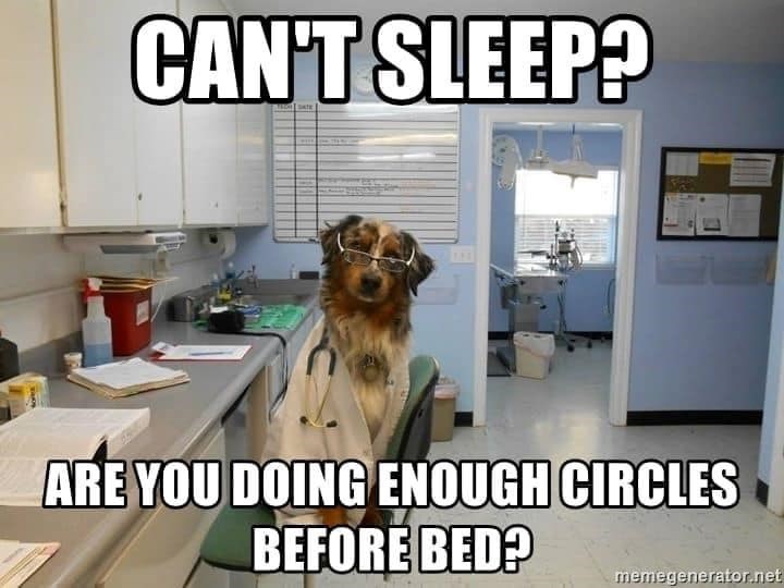 CAN'T SLEEP? ARE YOU DOING ENOUGH CIRCLES BEFORE BED? memegenerator.net