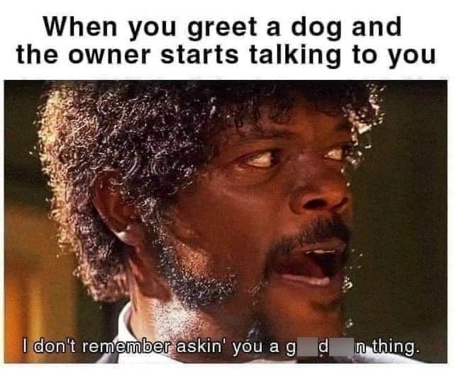 When you greet a dog and the owner starts talking to you I don't remember askin' you ag d In thing.