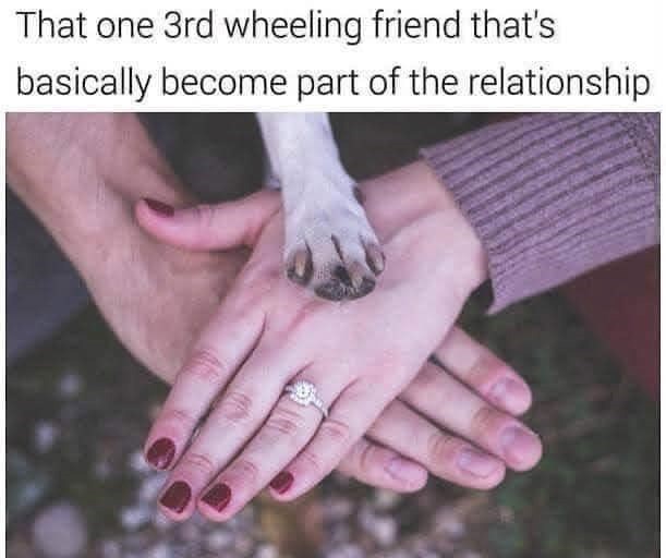 That one 3rd wheeling friend that's basically become part of the relationship