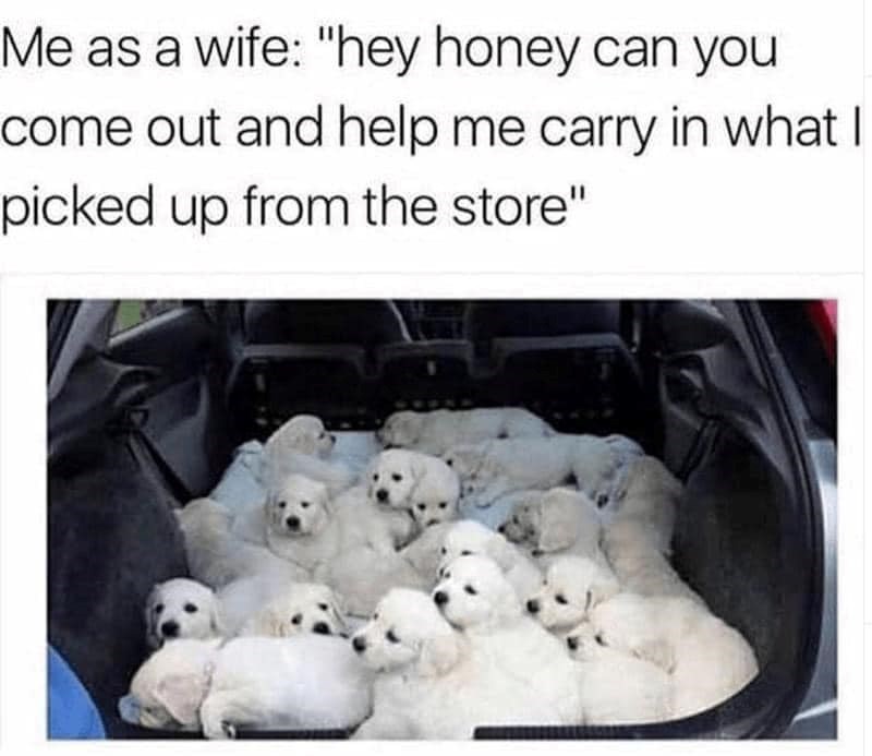 Me as a wife: "hey honey can you come out and help me carry in what I picked up from the store"