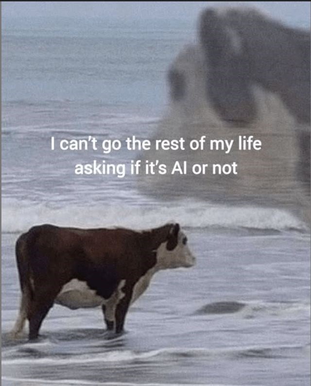 I can't go the rest of my life asking if it's Al or not