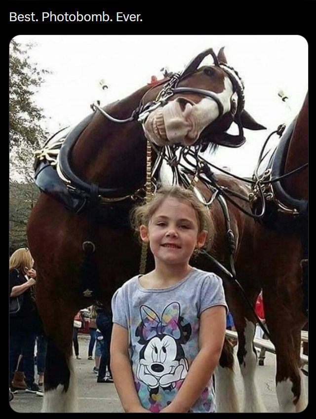 Best. Photobomb. Ever.