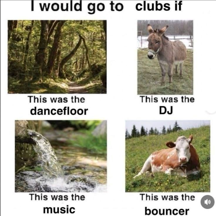 would go to clubs if This was the dancefloor This was the music This was the DJ This was the bouncer