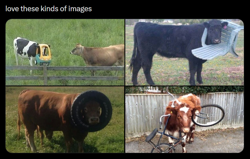 love these kinds of images