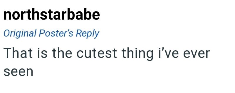 northstarbabe Original Poster's Reply That is the cutest thing i've ever seen
