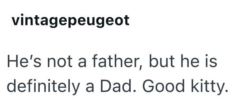 vintagepeugeot He's not a father, but he is definitely a Dad. Good kitty.