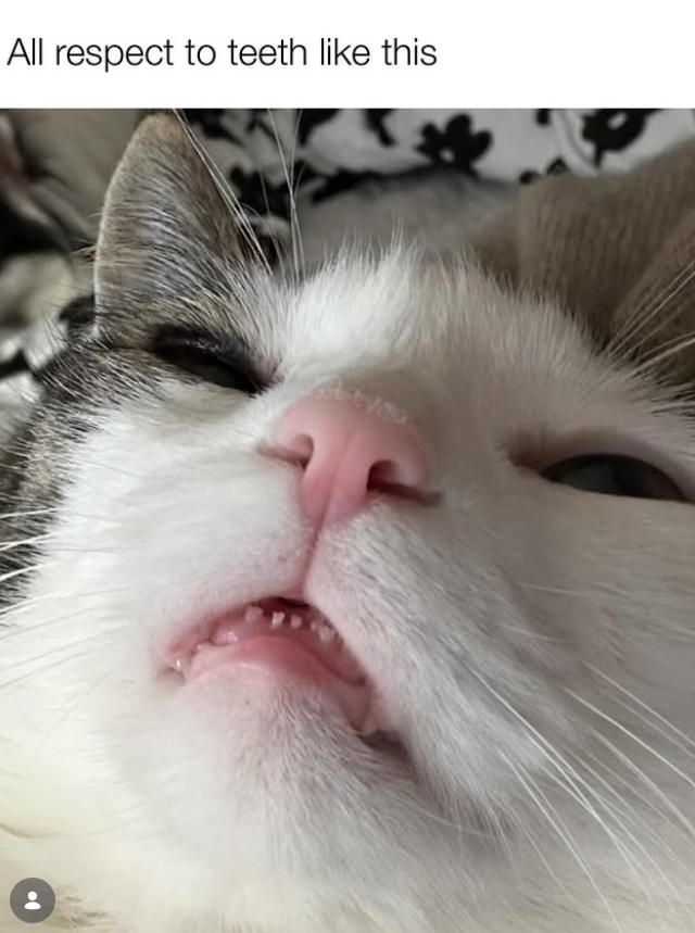 All respect to teeth like this 7680