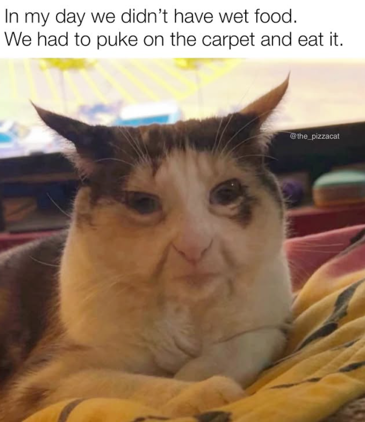 In my day we didn't have wet food. We had to puke on the carpet and eat it. @the_pizzacat