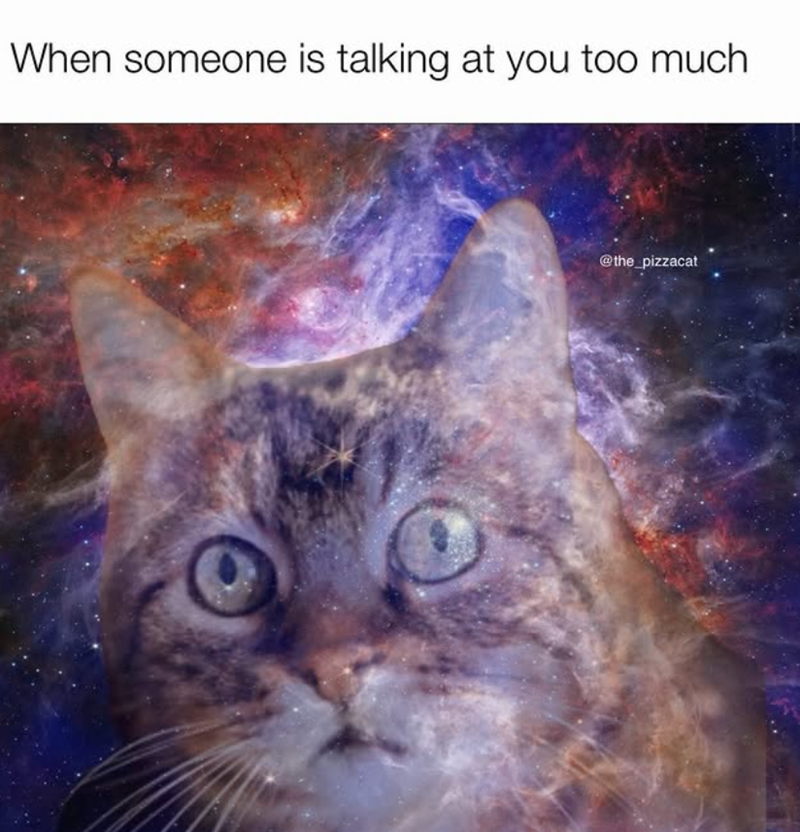 When someone is talking at you too much @the_pizzacat