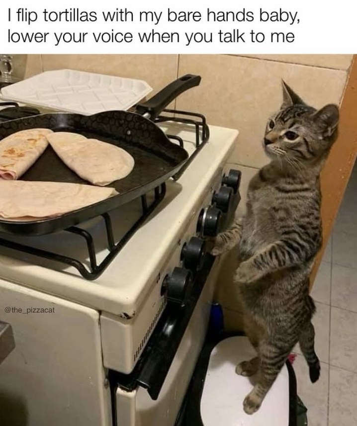 I flip tortillas with my bare hands baby, lower your voice when you talk to me @the_pizzacat