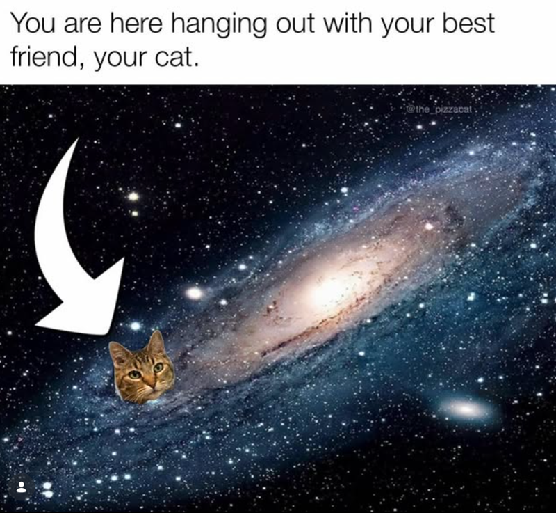 You are here hanging out with your best friend, your cat. @the_pizzacat