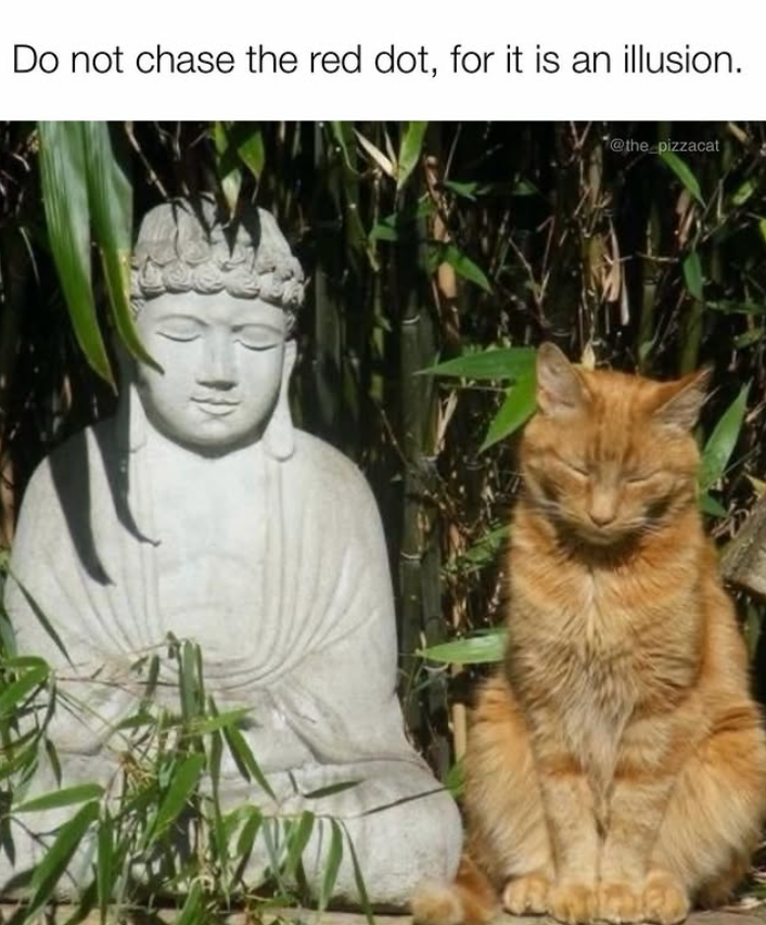 Do not chase the red dot, for it is an illusion. @the_pizzacat