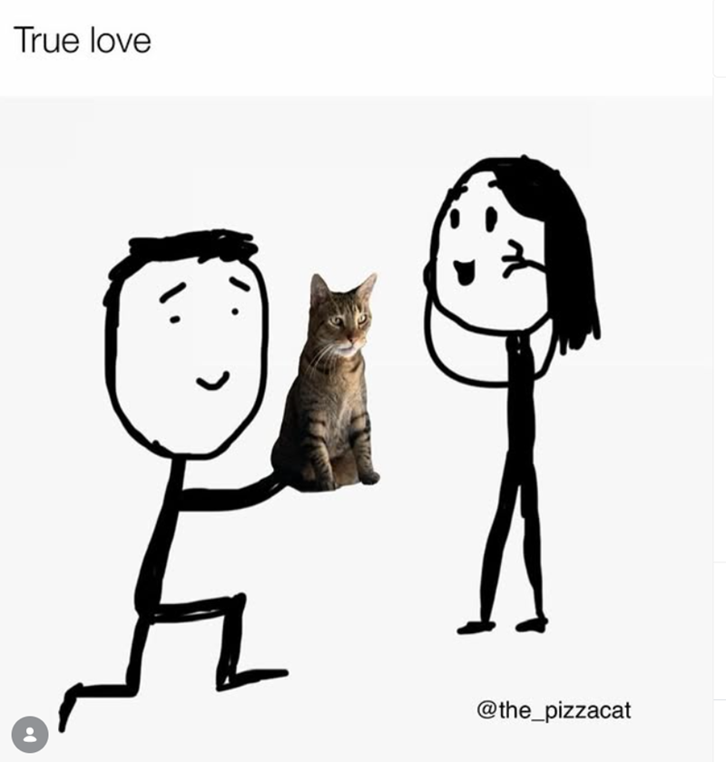True love @the_pizzacat