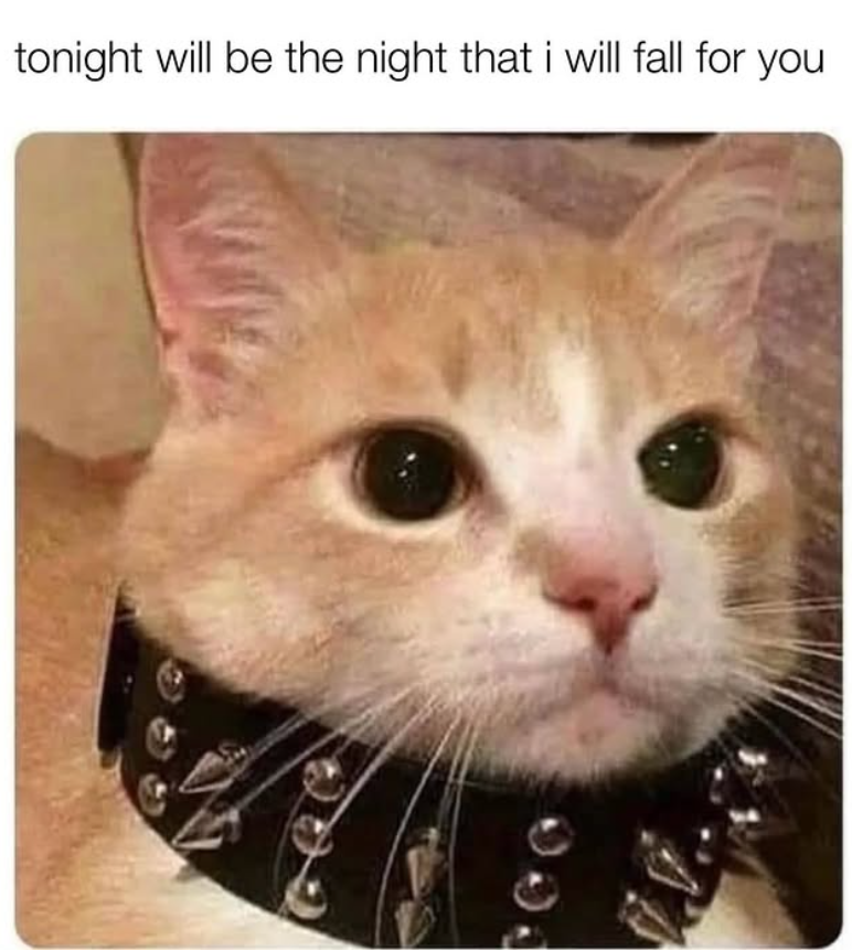 tonight will be the night that i will fall for you