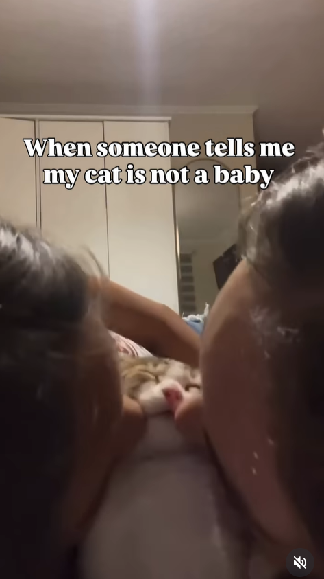 When someone tells me my cat is not a baby K