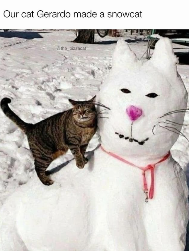 Our cat Gerardo made a snowcat @the_pizzacat