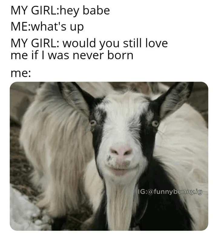 MY GIRL:hey babe ME:what's up MY GIRL: would you still love me if I was never born me: IG:@funnybunny.ig