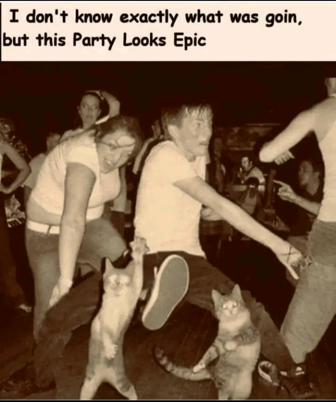 I don't know exactly what was goin, but this Party Looks Epic