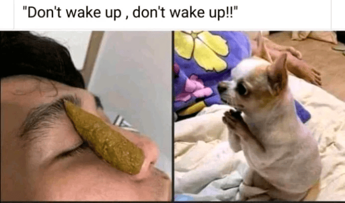 "Don't wake up, don't wake up!!"