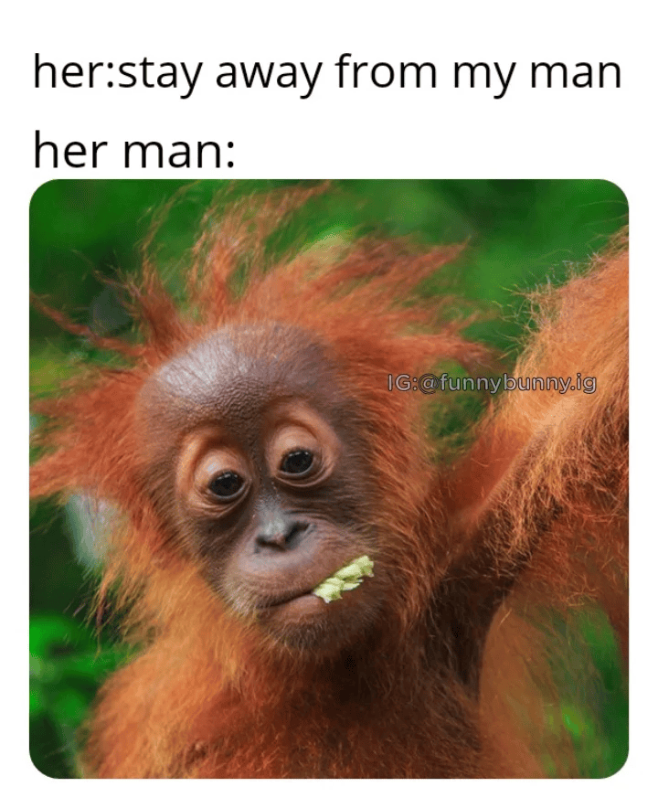 her:stay away from my man her man: IG:@funnybunny.ig