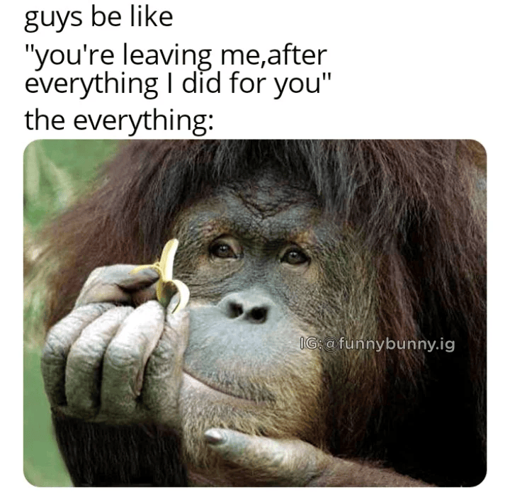 guys be like "you're leaving me,after everything I did for you" the everything: IG: a funnybunny.ig