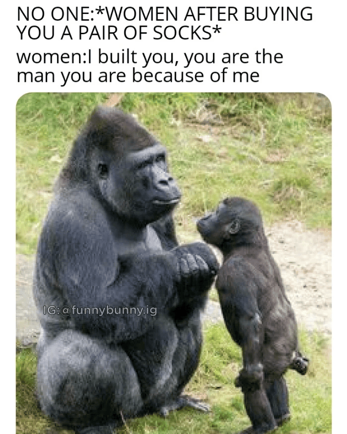 NO ONE:*WOMEN AFTER BUYING YOU A PAIR OF SOCKS* women:I built you, you are the man you are because of me IG:@funnybunny.ig