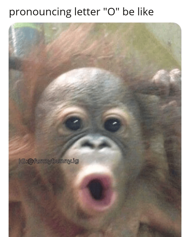 pronouncing letter "O" be like IG:@funnybunny.ig