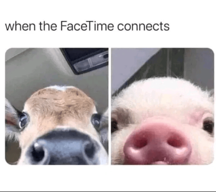 when the FaceTime connects