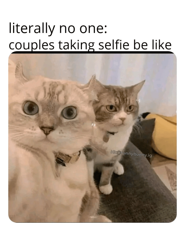 literally no one: couples taking selfie be like IG:@funnybunny.ig
