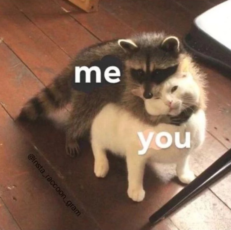me @insta_raccoon gram you