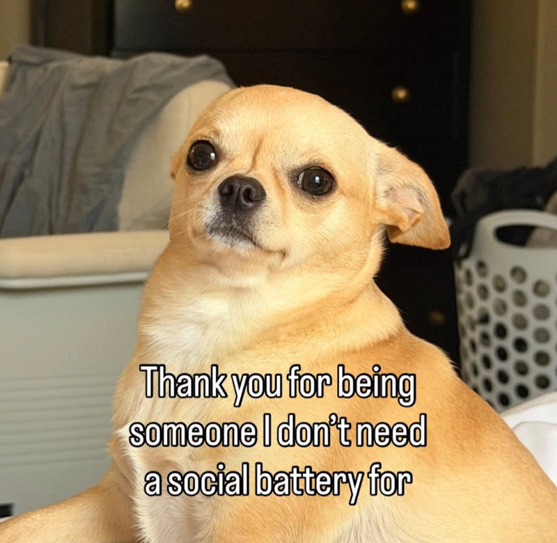 Thank you for being someone I don't need a social battery for