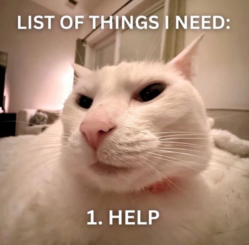 LIST OF THINGS I NEED: 1. HELP