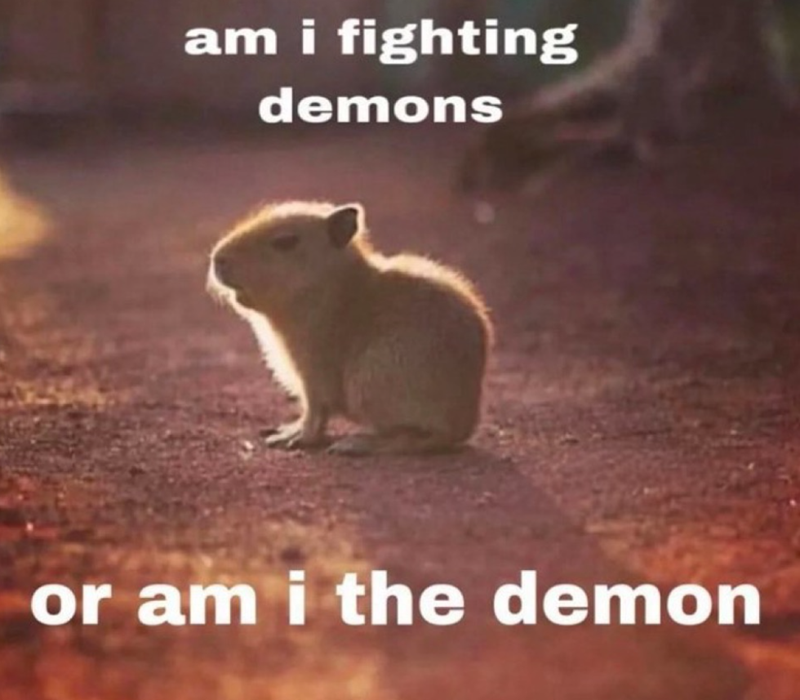 am i fighting demons or am i the demon