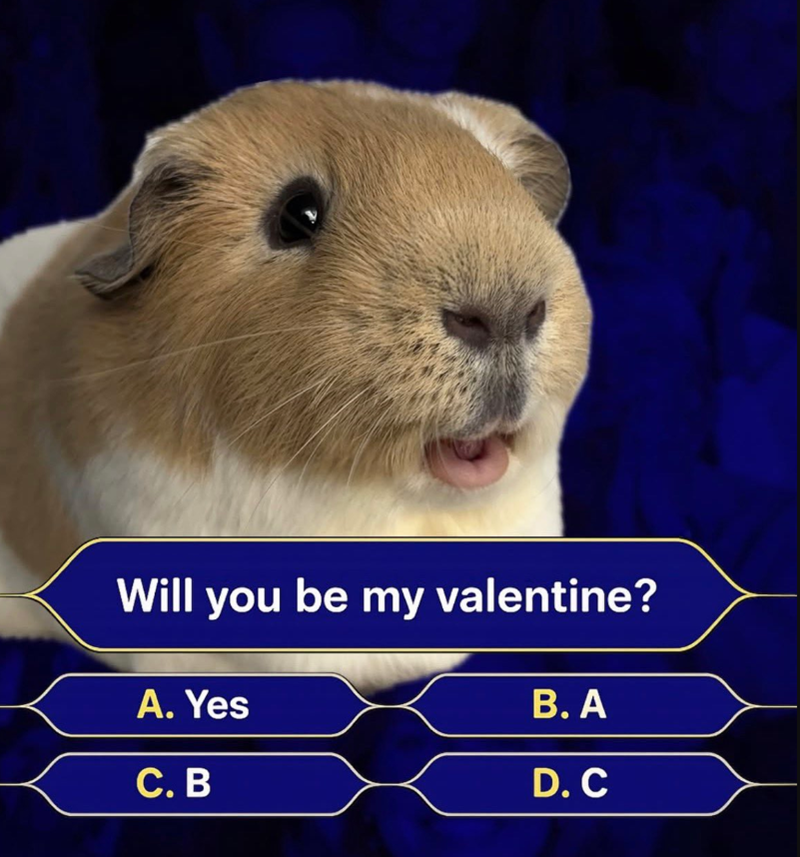 Will you be my valentine? A. Yes C. B B. A D. C