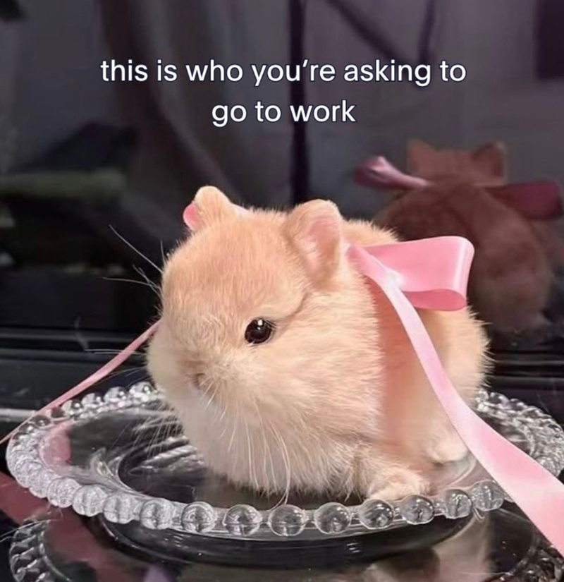 this is who you're asking to go to work