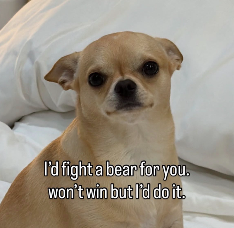 I'd fight a bear for you. won't win but I'd do it.