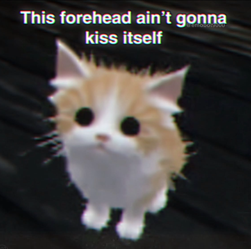 This forehead ain't gonna kiss itself