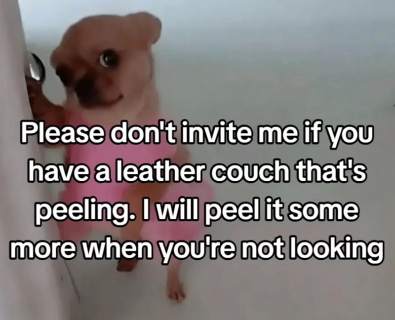Please don't invite me if you have a leather couch that's peeling. I will peel it some more when you're not looking