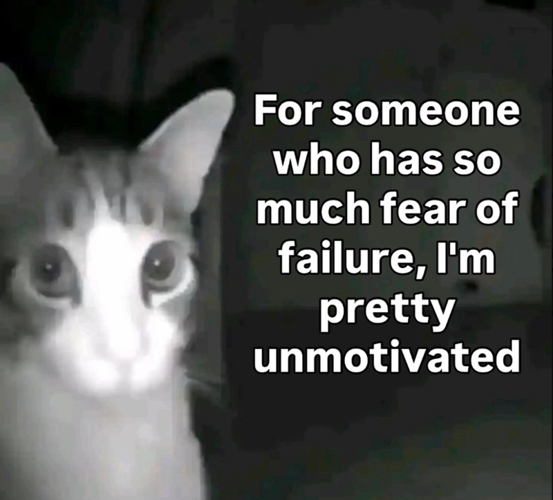 For someone who has so much fear of failure, I'm pretty unmotivated