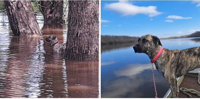 Cheezburger Image 10610189056